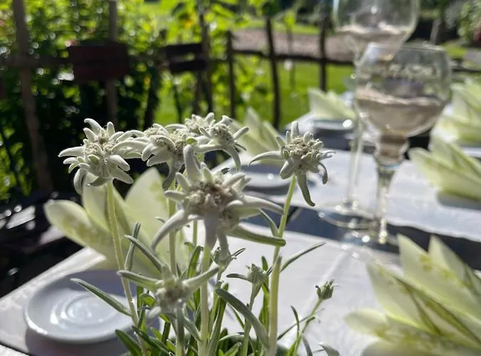 Hotel-gasthof Der Wiesengrund Bad Hindelang