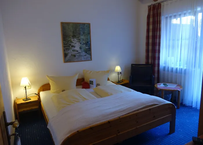 Hotel-gasthof Der Wiesengrund Bad Hindelang