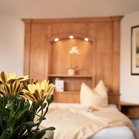 Hotel-gasthof Der Wiesengrund 3*