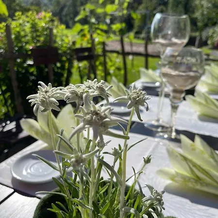 Hotel-gasthof Im Wiesengrund Bad Hindelang