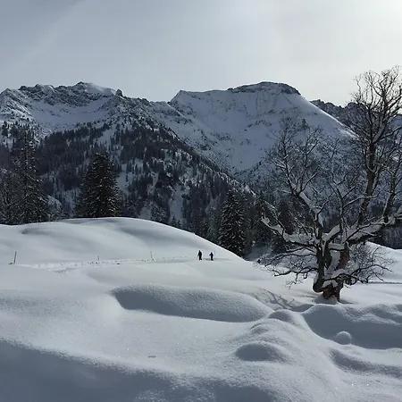 Hotel Hotel-gasthof Der Wiesengrund 3*