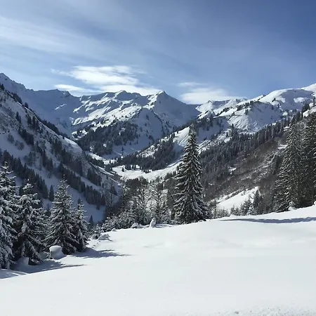 Hotel Hotel-gasthof Der Wiesengrund Bad Hindelang